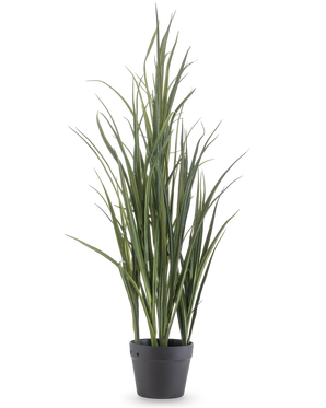 El Césped Artificial Verde UV 90cm es una planta artificial alta con hojas verdes largas y delgadas que se mantienen erguidas en una maceta de color gris oscuro sobre un fondo blanco liso.