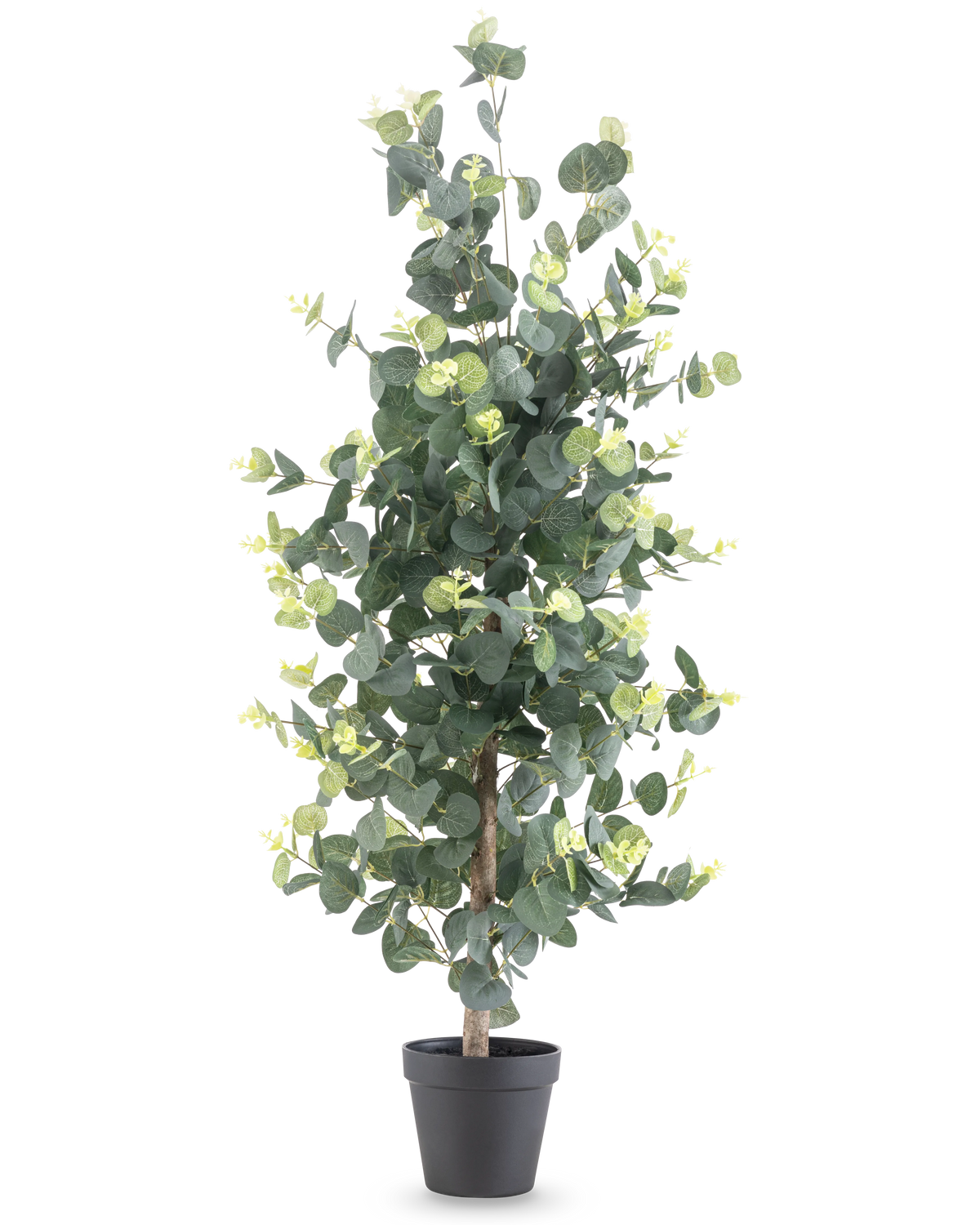 La planta artificial Eucalipto de 91 cm tiene hojas verdes redondas, altas y realistas, y pequeños cogollos amarillos en una maceta negra, sobre un fondo blanco liso.