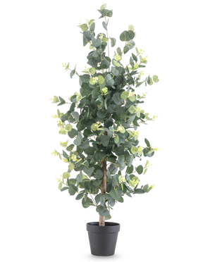 La planta artificial Eucalipto de 91 cm tiene hojas verdes redondas, altas y realistas, y pequeños cogollos amarillos en una maceta negra, sobre un fondo blanco liso.