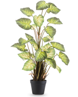 La Planta Artificial Alocasia Odora 90 cm tiene hojas grandes, verdes, en forma de corazón y múltiples tallos en una sencilla maceta negra, sobre un fondo blanco liso.