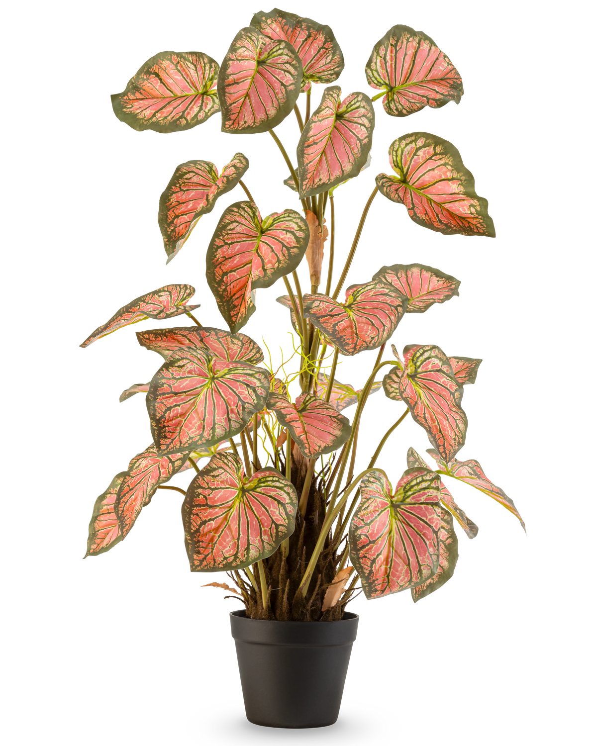 La Planta Artificial Caladium 90 cm rosa es una planta de maceta con grandes hojas en forma de corazón con bordes verdes y corazones rosas, presentada en posición vertical en una maceta negra sobre un fondo blanco.