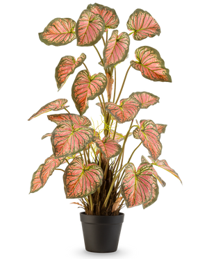 La Planta Artificial Caladium 90 cm rosa es una planta de maceta con grandes hojas en forma de corazón con bordes verdes y corazones rosas, presentada en posición vertical en una maceta negra sobre un fondo blanco.