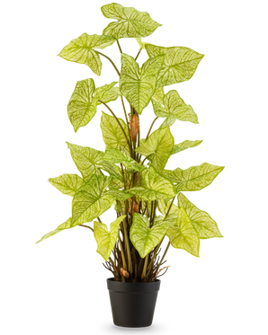 La Planta Artificial Trapa Bispinosa 90 cm blanca es una planta artificial en maceta con hojas de color verde claro vibrante y llamativas venas pálidas, dispuestas en una maceta negra compacta y representada sobre un fondo blanco liso.