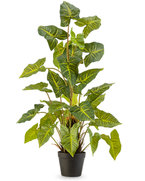 La Planta Artificial Trapa Bispinosa 90 cm verde es una planta de maceta con grandes hojas verdes en forma de corazón con venas amarillas, en una maceta negra sobre un fondo liso y claro.