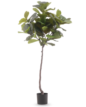La Planta Artificial Ficus Tobacco Plant Deluxe 180 cm es una planta artificial alta con hojas grandes de color verde brillante y un tronco esbelto de color marrón, sobre un fondo blanco liso.