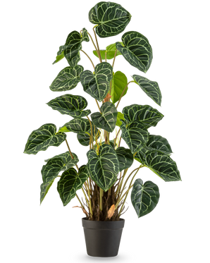 Una planta artificial Anthurium de 90 cm de color verde con exuberantes hojas verdes en forma de corazón y llamativas vetas blancas, sobre un fondo blanco liso.