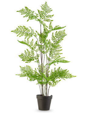 La planta de helecho artificial de 85 cm tiene delicadas hojas de color verde plumoso y múltiples tallos largos y delgados, presentados en una maceta sobre un fondo blanco liso.