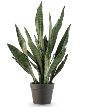 La Planta Artificial Sansevieria Zeylanica de 71 cm tiene hojas largas y verticales de color verde con rayas horizontales oscuras, en una sencilla maceta de color gris oscuro sobre un fondo blanco liso.