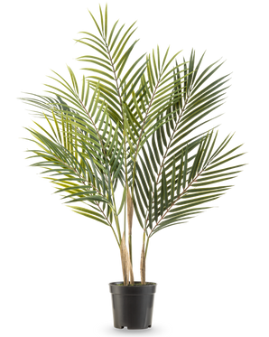 La palmera artificial Chamaedorea de 71 cm tiene hojas verdes largas y delgadas y múltiples troncos, lo que la hace parecer una palmera alta en una maceta sobre un fondo blanco.