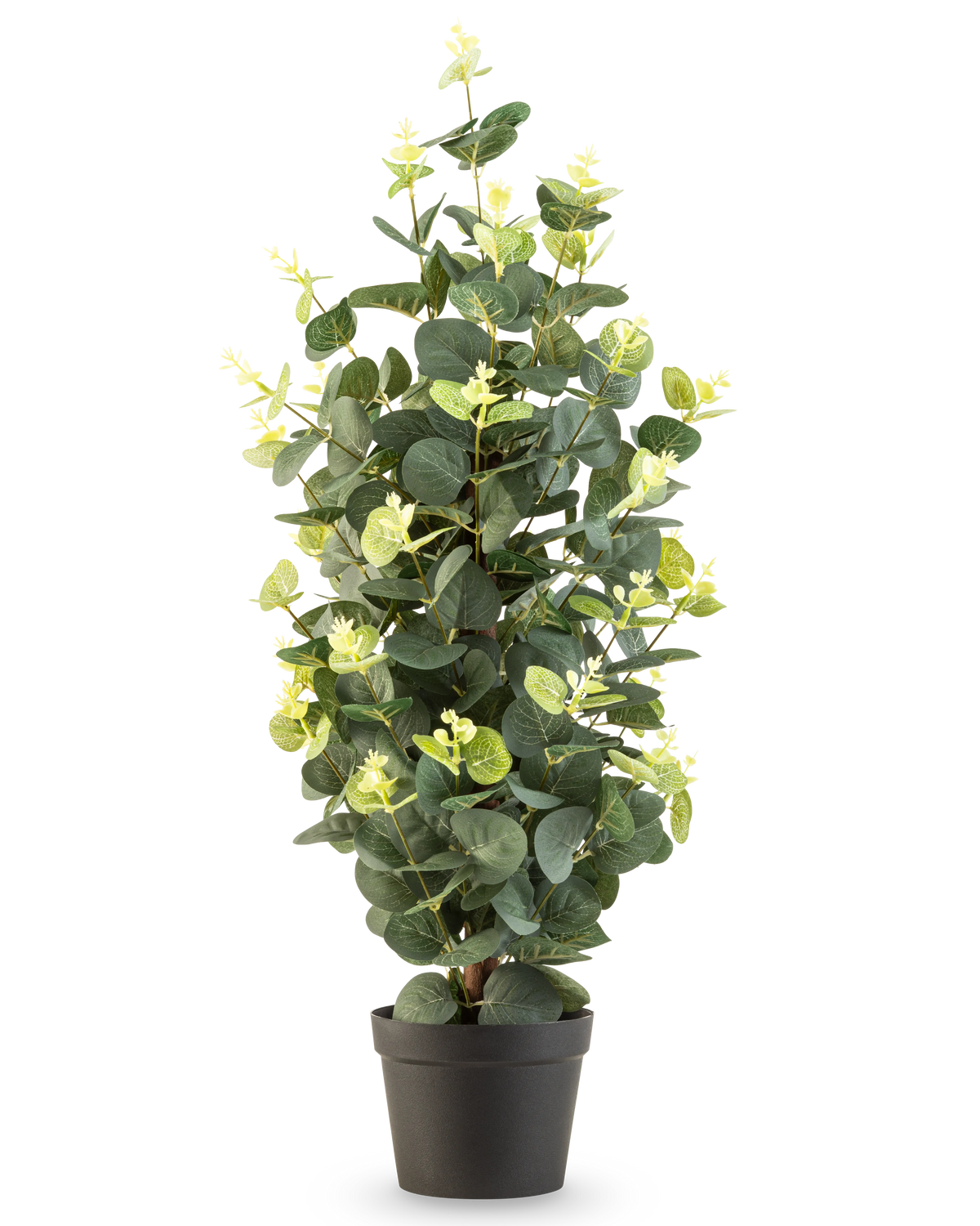 La Planta Artificial Eucalipto 61 cm es una planta artificial en maceta con hojas verdes en una sencilla maceta negra, que se alza sobre un fondo blanco.