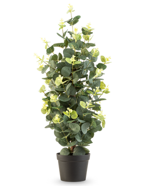 La Planta Artificial Eucalipto 61 cm es una planta artificial en maceta con hojas verdes en una sencilla maceta negra, que se alza sobre un fondo blanco.