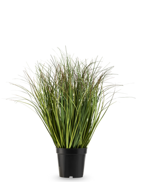 La Planta de Césped Artificial verde seco ignífugo de 50 cm tiene largas y finas hojas artificiales de color verde en una sencilla maceta de plástico negro, sobre un fondo blanco liso.