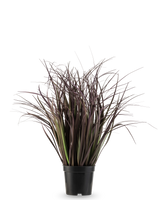La planta de césped artificial Wild Lawn de 50 cm retardante de fuego tiene hojas altas, estrechas y de color púrpura oscuro en una maceta negra sobre un fondo blanco: una elegante planta artificial ideal para interiores modernos.