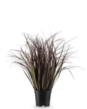 La planta de césped artificial Wild Lawn de 50 cm retardante de fuego tiene hojas altas, estrechas y de color púrpura oscuro en una maceta negra sobre un fondo blanco: una elegante planta artificial ideal para interiores modernos.