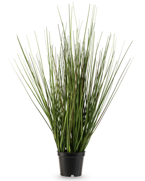 La planta de césped artificial Cebolla ignífuga de 50 cm tiene tallos verdes largos y estrechos que crecen erguidos y se estrechan ligeramente en una pequeña maceta de plástico negro, sobre un fondo blanco liso.