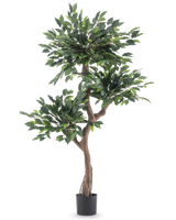 La Planta Artificial Ficus Crazy 150 cm es un árbol artificial alto con tres manojos de densas hojas verdes y un tronco retorcido de color marrón, en una sencilla maceta negra sobre un fondo blanco.