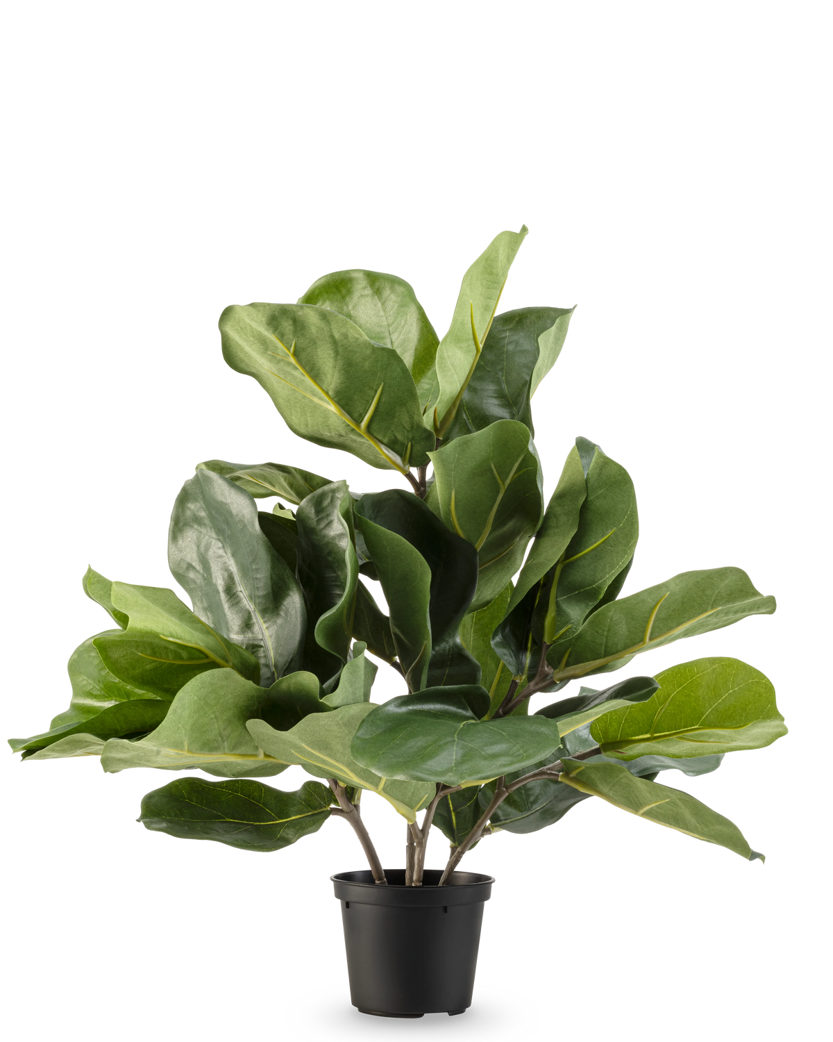 La planta de tabaco artificial Fiddle Leaf UV 45 cm tiene hojas grandes de color verde brillante y tallos gruesos en una maceta de plástico negra, sobre un fondo blanco liso.