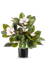 La planta Magnolia Artificial en maceta de 46 cm es una planta de fácil cuidado con grandes hojas de color verde brillante y tres flores de color rosa claro con un corazón amarillo, en una sencilla maceta negra sobre fondo blanco.