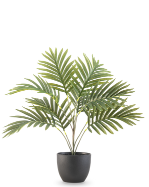 La palmera artificial Fénix de 50 cm tiene hojas largas y curvas de color verde en una maceta decorativa redonda de color negro, sobre un fondo blanco liso.