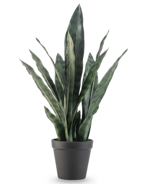 La Planta Artificial Sansevieria Zeylanica de 44 cm tiene hojas verdes largas y verticales con patrones coloridos, presentadas en una sencilla maceta negra sobre un fondo blanco liso.