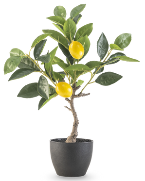 El Limonero Artificial de 40 cm en maceta decorativa negra tiene hojas verdes y dos limones amarillos maduros en una maceta con estructura negra, perfecta para exponer sobre un fondo blanco.