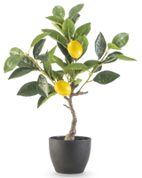 El Limonero Artificial de 40 cm en maceta decorativa negra tiene hojas verdes y dos limones amarillos maduros en una maceta con estructura negra, perfecta para exponer sobre un fondo blanco.
