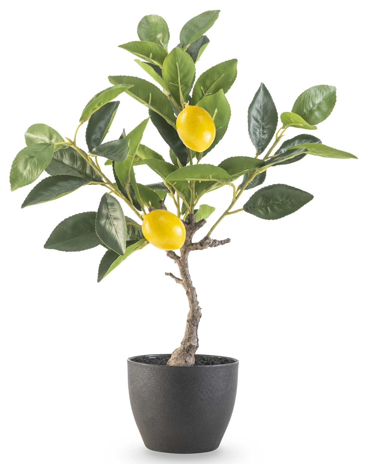 El Limonero Artificial de 40 cm en maceta decorativa negra tiene hojas verdes y dos limones amarillos maduros en una maceta con estructura negra, perfecta para exponer sobre un fondo blanco.