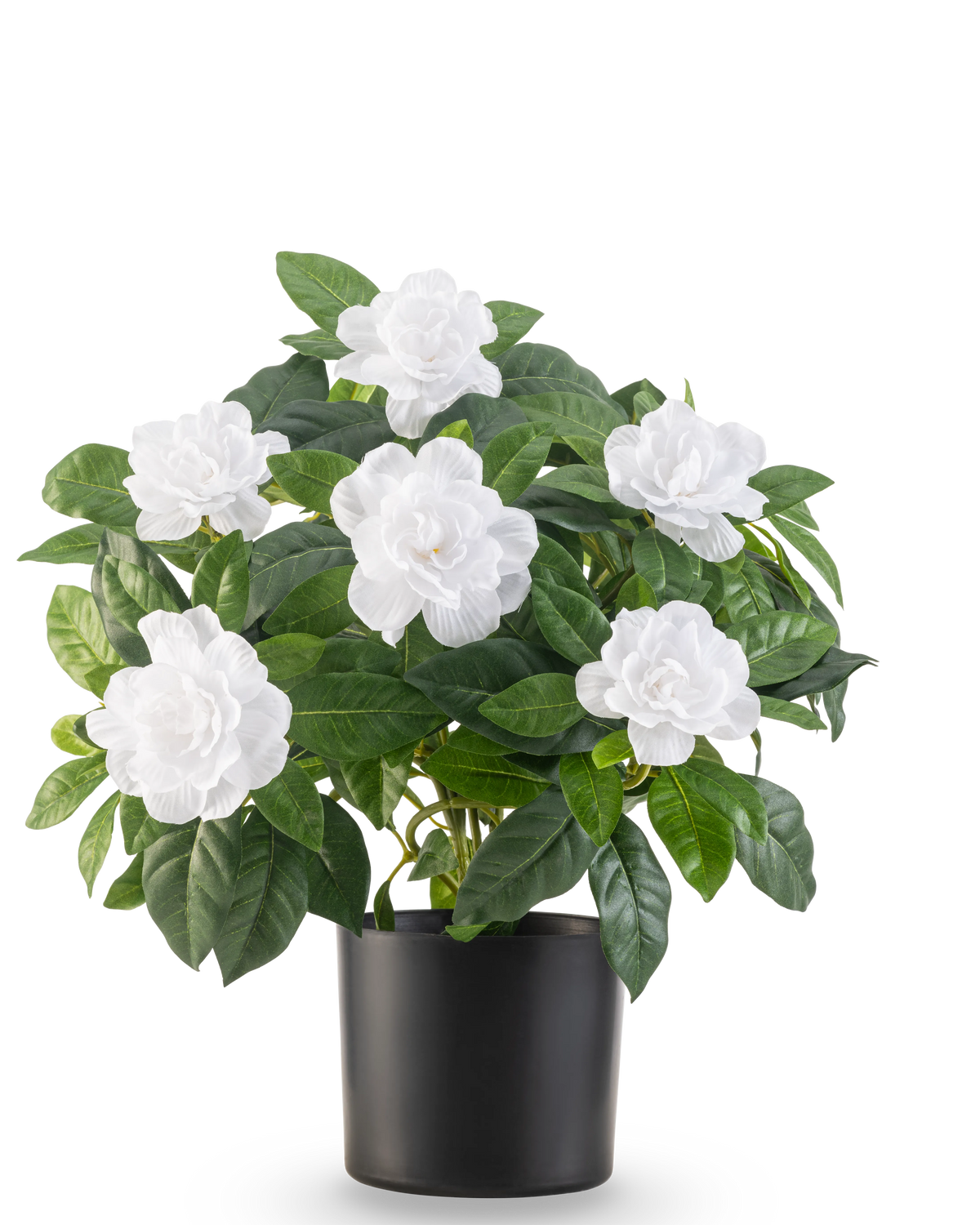La planta artificial Gardenia UV 39 cm blanca tiene exuberantes hojas verdes y grandes flores blancas de gardenia en una sencilla maceta negra, sobre un fondo blanco liso.