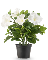Una planta de petunia con flor artificial UV de 25 cm de altura en una maceta de plástico negro tiene exuberantes hojas verdes y múltiples flores grandes, blancas, en forma de trompeta, sobre un fondo blanco liso.