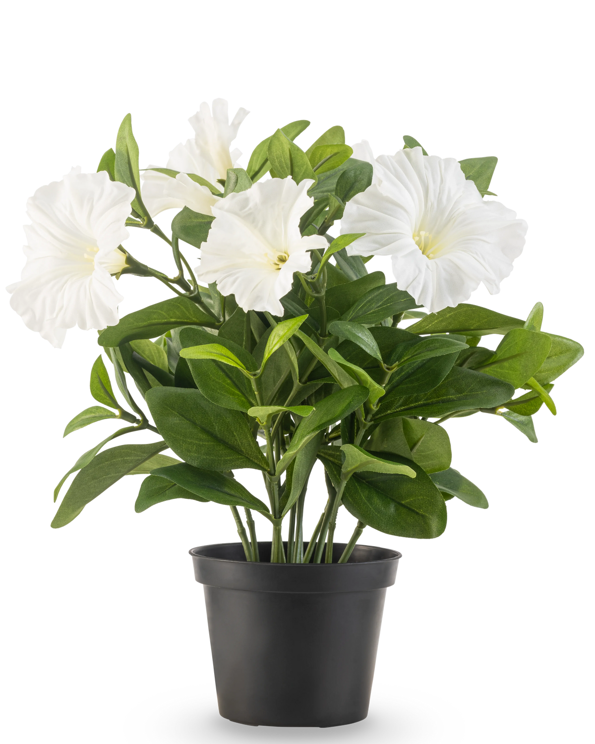 Una planta de petunia con flor artificial UV de 25 cm de altura en una maceta de plástico negro tiene exuberantes hojas verdes y múltiples flores grandes, blancas, en forma de trompeta, sobre un fondo blanco liso.