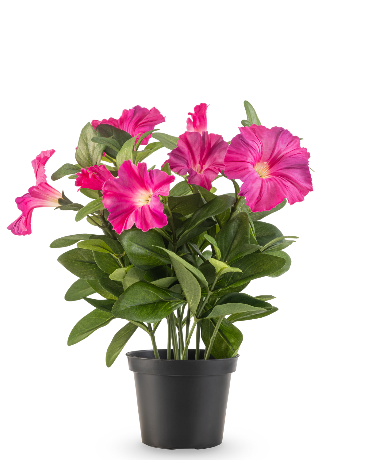 Una planta de Petunia con flor artificial UV de 25 cm en color rosa oscuro, con hojas anchas de color verde y flores vibrantes en una maceta de plástico negra, sobre un fondo blanco liso.