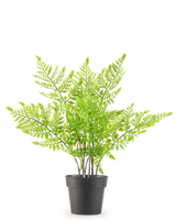 La Planta Artificial Helecho 35 cm es un helecho artificial verde con delicadas hojas que parecen plumas en una sencilla maceta de plástico negro, sobre un fondo blanco liso.