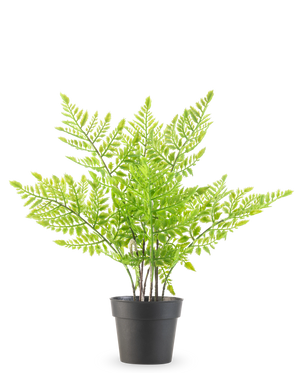 La Planta Artificial Helecho 35 cm es un helecho artificial verde con delicadas hojas que parecen plumas en una sencilla maceta de plástico negro, sobre un fondo blanco liso.