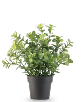 La Planta Artificial Eucalipto de 27 cm tiene densas hojas verdes en una sencilla maceta de color gris oscuro, sobre un fondo blanco liso.