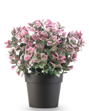 La planta artificial Eucalipto violeta en maceta UV 22 cm tiene hojas de eucalipto violeta en una maceta oscura, sobre un fondo blanco liso.