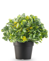 La Planta Artificial Verde/amarillo UV 21 cm tiene hojas verdes y pequeñas flores amarillas en una maceta lisa de color negro, sobre un fondo blanco.