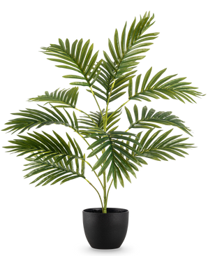 La palmera artificial Fénix de 65 cm, con exuberantes hojas verdes, se alza en una elegante maceta decorativa negra sobre un fondo blanco liso.