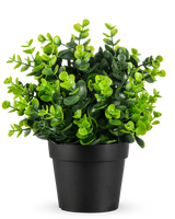 La Planta Artificial Verde en maceta UV 22 cm es una pequeña planta artificial de color verde vibrante con hojas densas y redondas en una sencilla maceta negra, representada sobre un fondo blanco liso.
