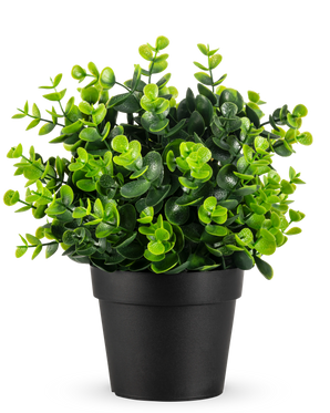 La Planta Artificial Verde en maceta UV 22 cm es una pequeña planta artificial de color verde vibrante con hojas densas y redondas en una sencilla maceta negra, representada sobre un fondo blanco liso.