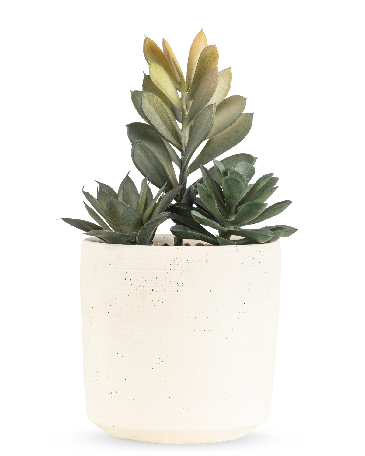 La Planta Suculenta Artificial de 20 cm tiene una suculenta compacta con exuberantes hojas verdes en una maceta sencilla con una textura blanquecina, sobre un fondo blanco liso.