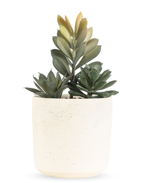La Planta Suculenta Artificial de 20 cm tiene una suculenta compacta con exuberantes hojas verdes en una maceta sencilla con una textura blanquecina, sobre un fondo blanco liso.