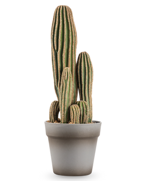 El Cactus Artificial de 41 cm es un cactus artificial verde, alto, de tallos múltiples, con crestas verticales y bordes marrones, presentado en una sencilla maceta gris sobre un fondo blanco.