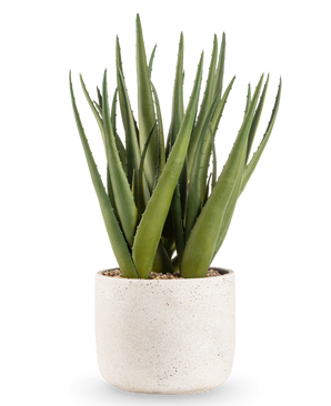 La Planta Artificial Aloe Vera de 43 cm tiene hojas verdes largas y puntiagudas en una pequeña maceta redonda con estructura blanca y guijarros, sobre un fondo blanco liso.