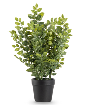 La Planta Artificial Verde 35 cm es una planta artificial realista en una maceta con exuberantes hojas verdes en una sencilla maceta negra, representada sobre un fondo blanco liso.