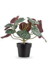 La Planta Artificial Saxifraga de 27 cm tiene hojas verdes con venas blancas y el envés rojo violeta, presentada en una sencilla maceta negra sobre un fondo liso blanco.