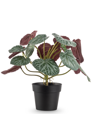 La Planta Artificial Saxifraga de 27 cm tiene hojas verdes con venas blancas y el envés rojo violeta, presentada en una sencilla maceta negra sobre un fondo liso blanco.