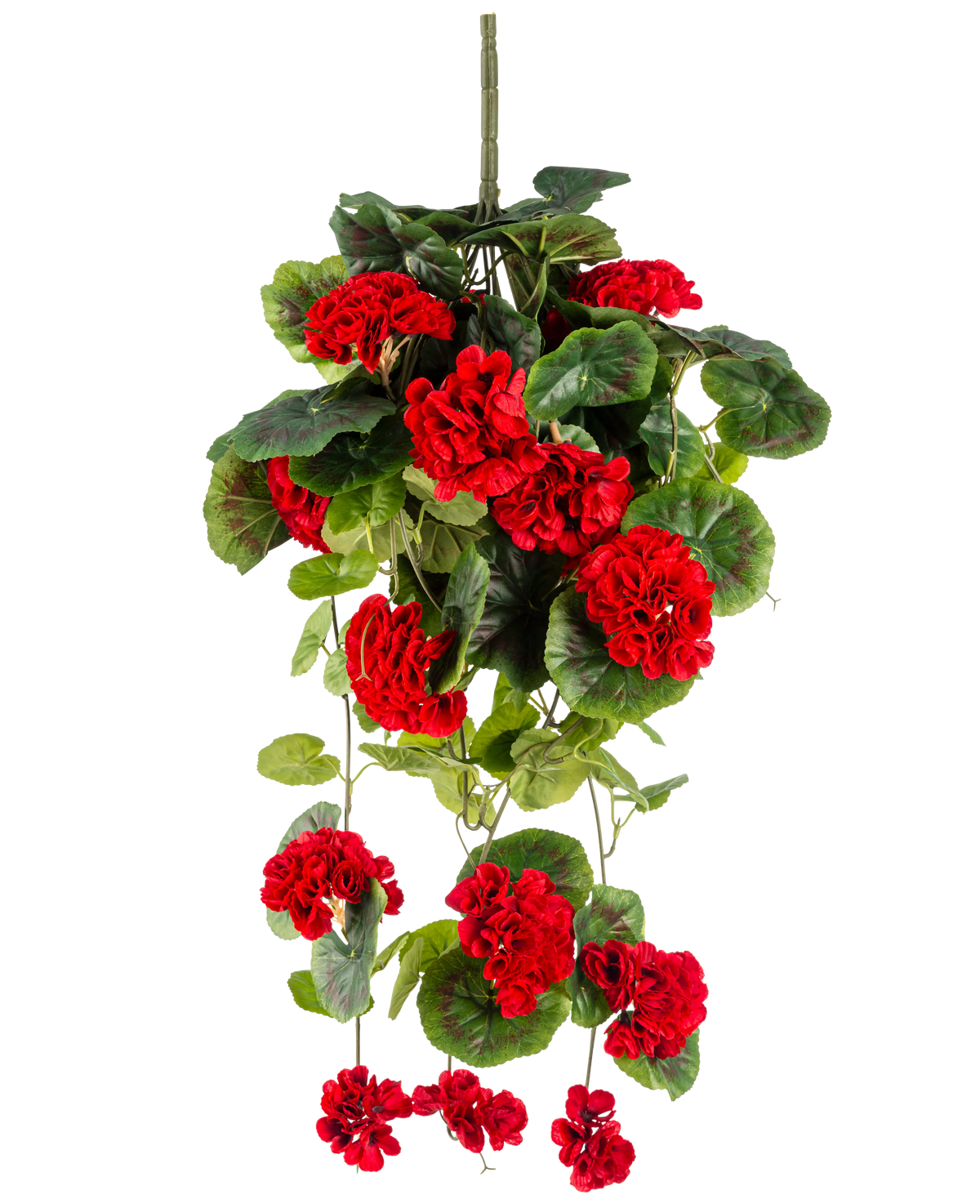 La planta colgante artificial Geranio 75 cm rojo tiene flores de geranio artificiales de color rojo vibrante con exuberantes hojas verdes que caen elegantemente.