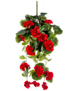 La planta colgante artificial Geranio 75 cm rojo tiene flores de geranio artificiales de color rojo vibrante con exuberantes hojas verdes que caen elegantemente.