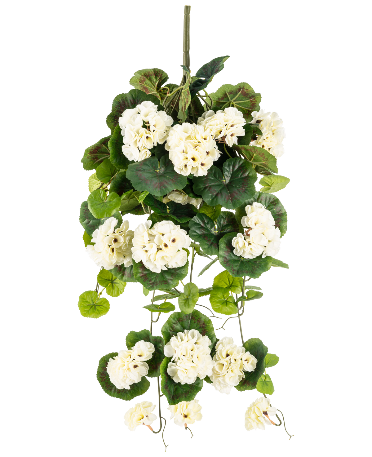 La Planta colgante artificial Geranio 75 cm blanco es una planta colgante artificial con ramos de flores blancas y hojas verdes, verticales sobre un fondo liso blanco.