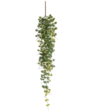 La planta colgante artificial Pumila de 96 cm tiene pequeñas hojas verdes redondas que cuelgan de un tallo marrón, creando un efecto realista. Retratada sobre un fondo blanco, esta planta artificial agrega vegetación sin mantenimiento.
